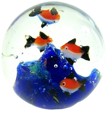 glass-fish.png